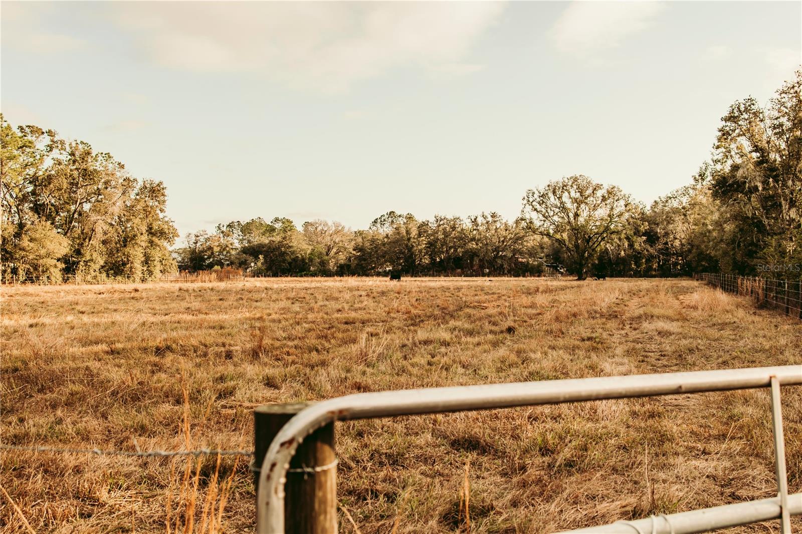 Image 3 of 6 For 5812 Dormany Road