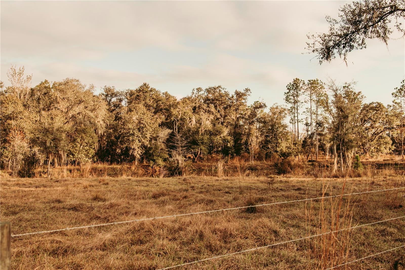 Image 5 of 6 For 5812 Dormany Road