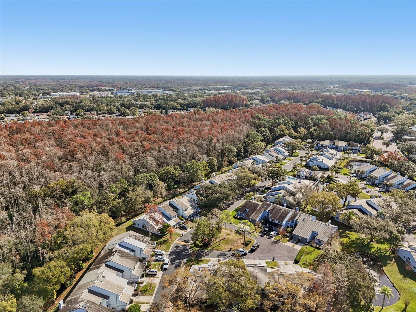 Image 30 of 32 For 4162 Brentwood Park Circle