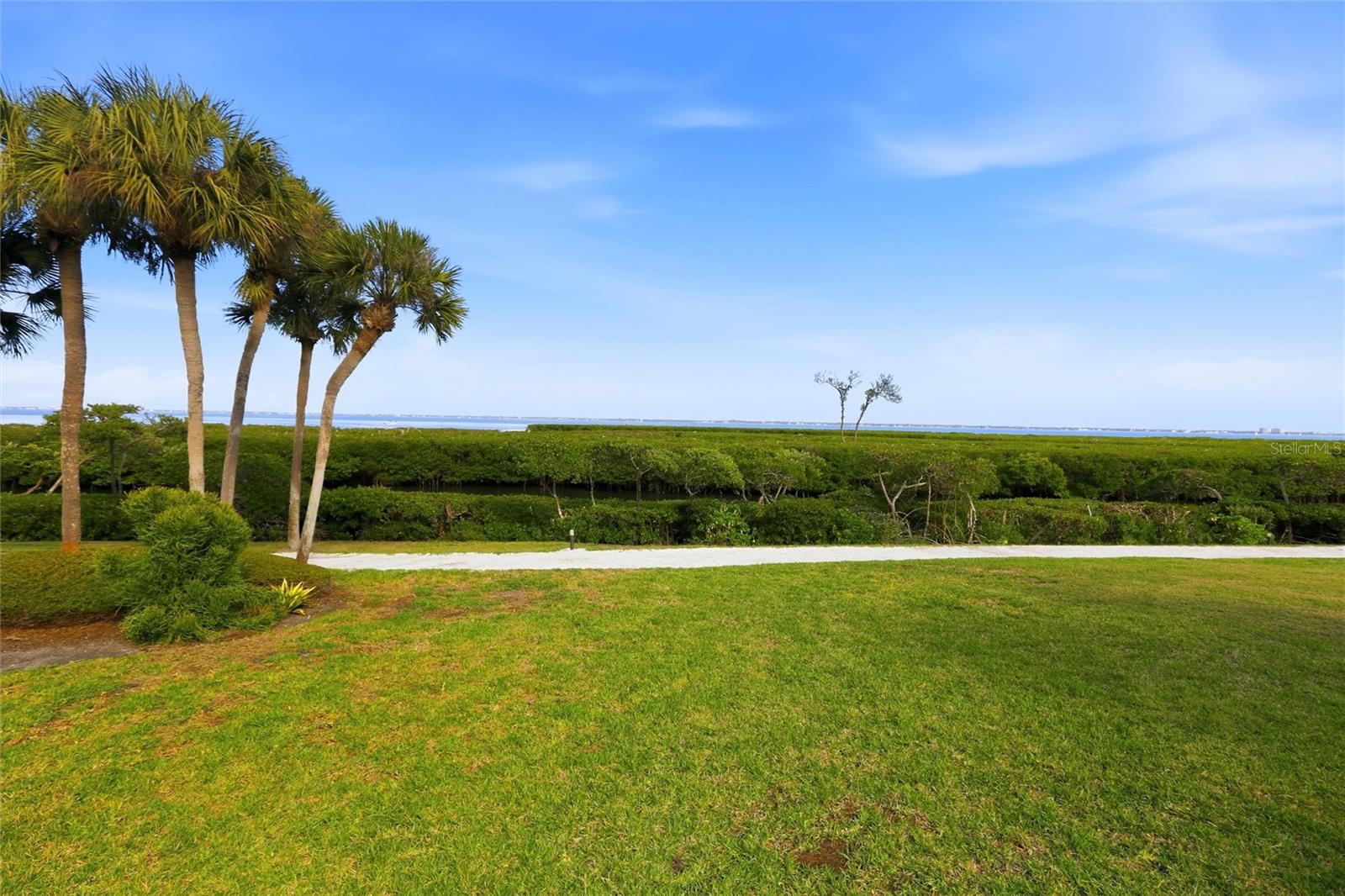 Image 42 of 56 For 1920 Harbourside Drive 1003