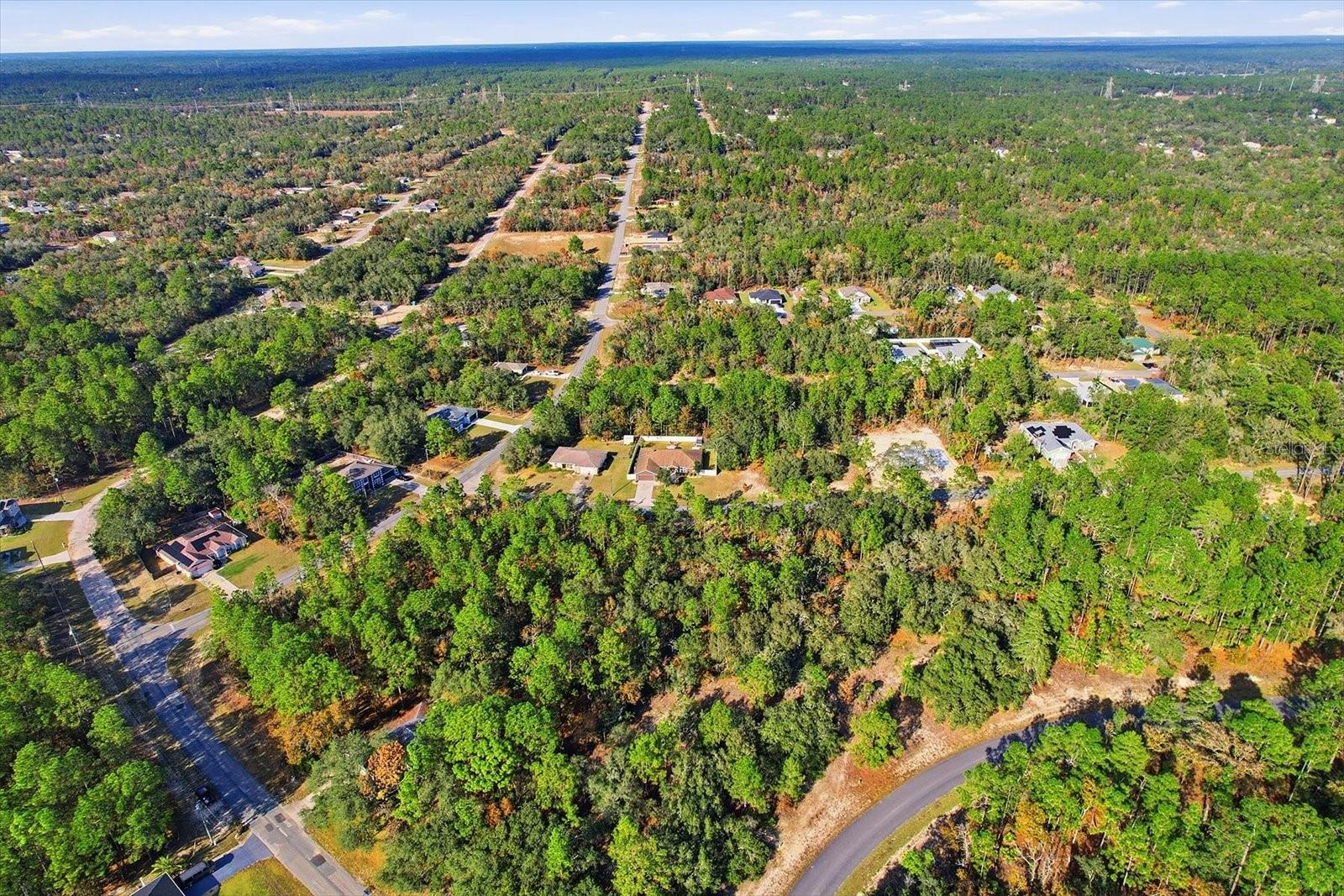 Image 45 of 46 For 1021 Champlain Lane