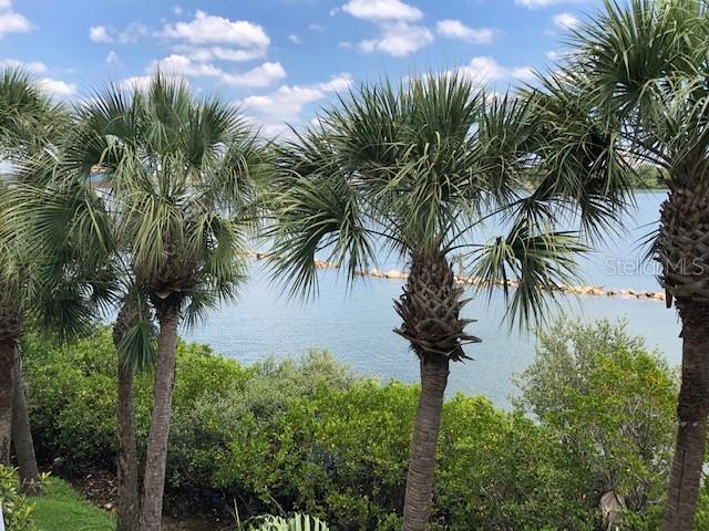 Image 30 of 37 For 924 Hemingway Circle