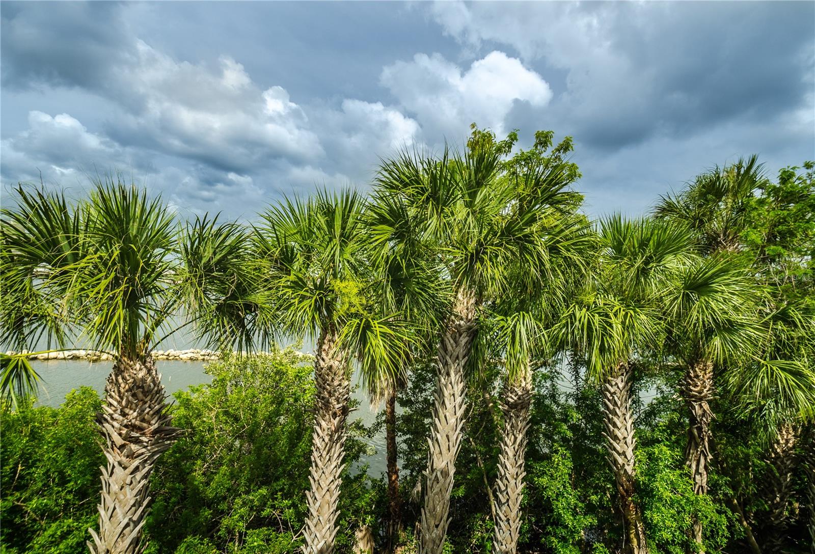 Image 36 of 37 For 924 Hemingway Circle