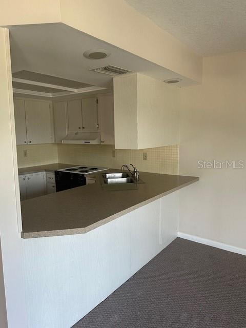 Image 13 of 30 For 1001 Bayshore Boulevard 201