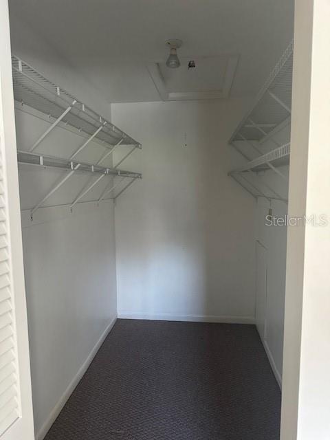 Image 20 of 30 For 1001 Bayshore Boulevard 201