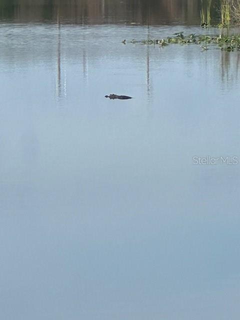 Image 30 of 30 For 1001 Bayshore Boulevard 201