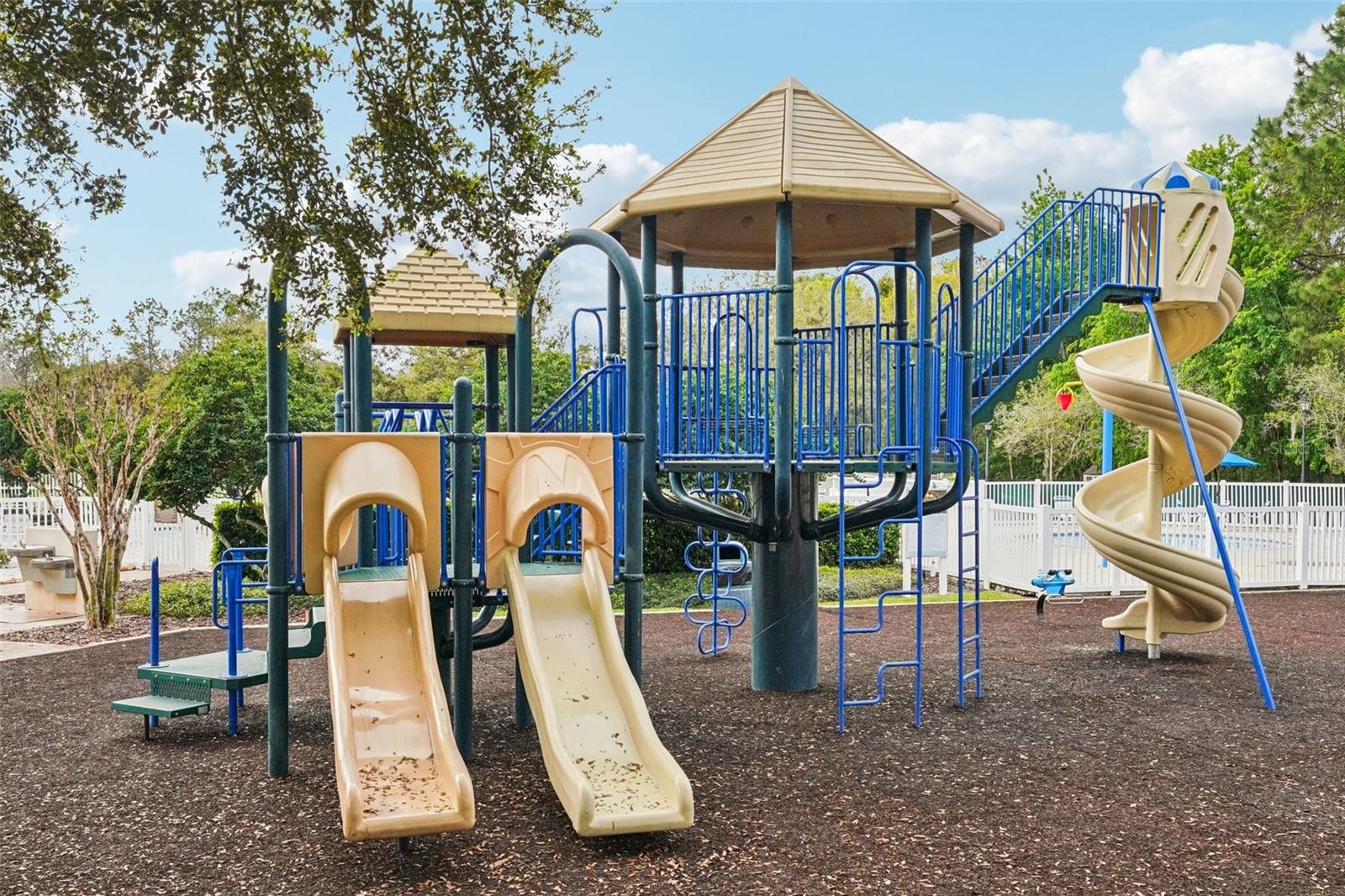 Image 56 of 62 For 25954 Risen Star Drive