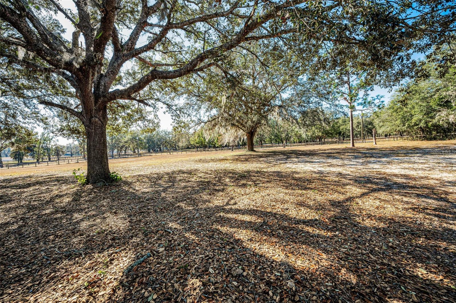 Image 15 of 56 For Xxx Trilby Trails Trail