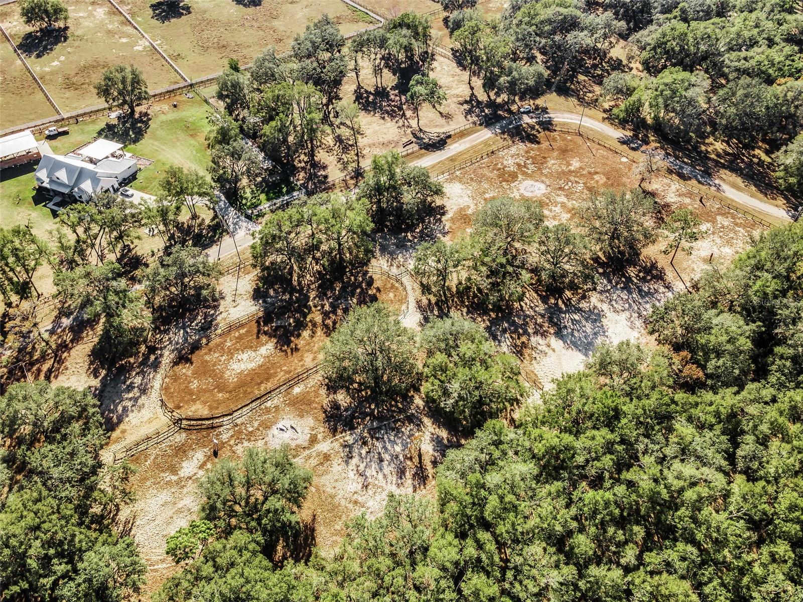 Image 20 of 56 For Xxx Trilby Trails Trail