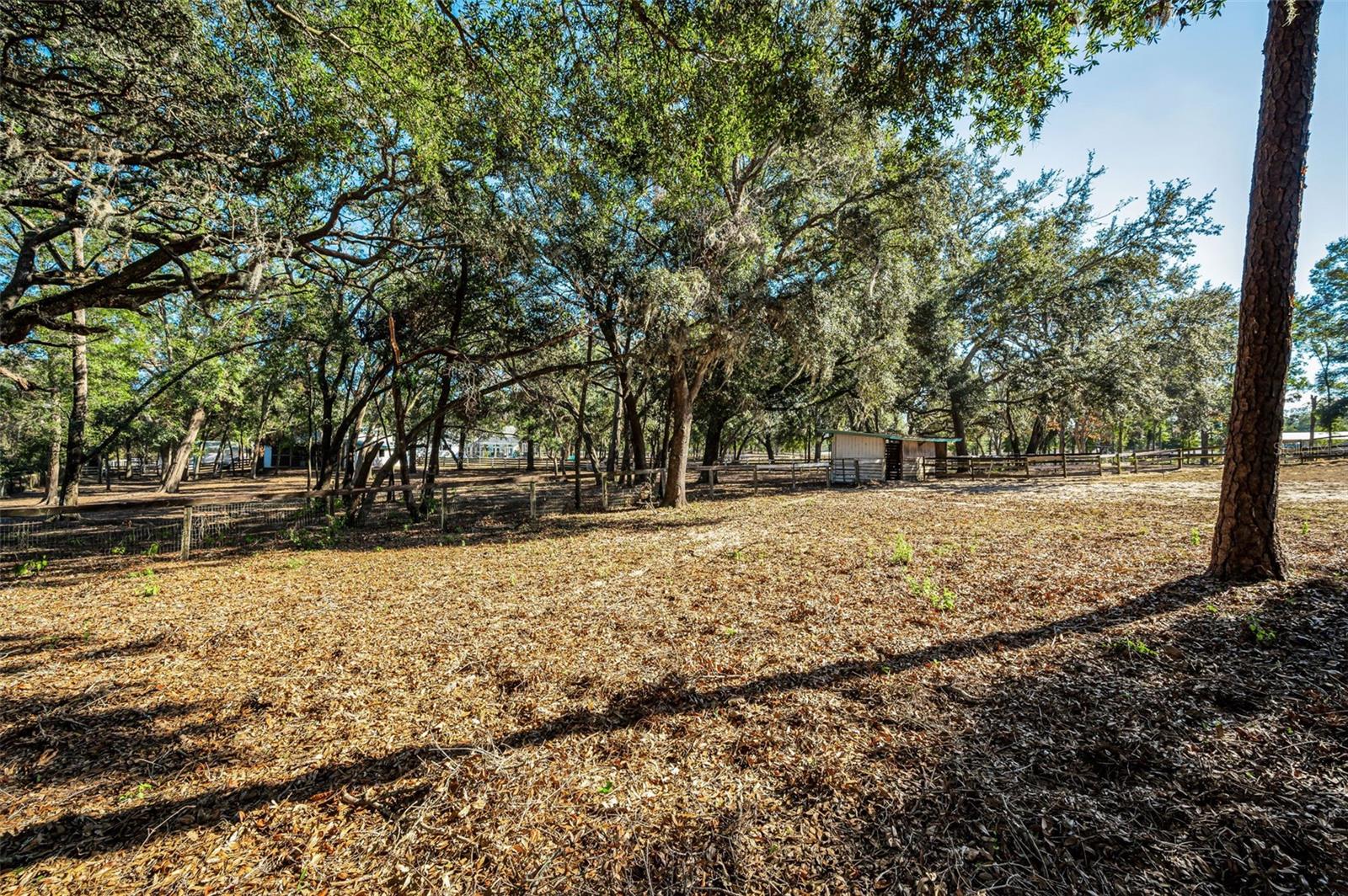 Image 21 of 56 For Xxx Trilby Trails Trail