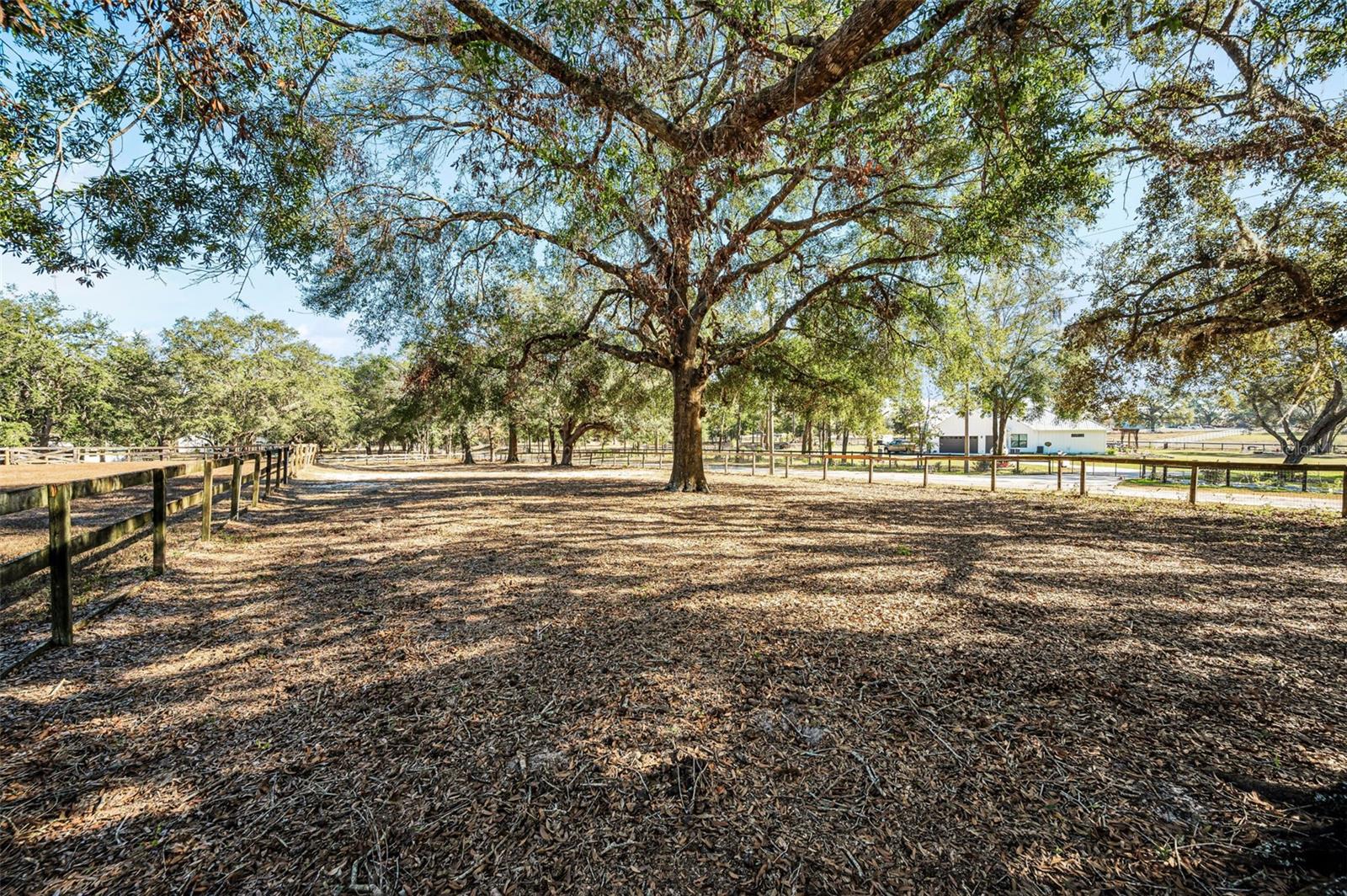 Image 30 of 56 For Xxx Trilby Trails Trail