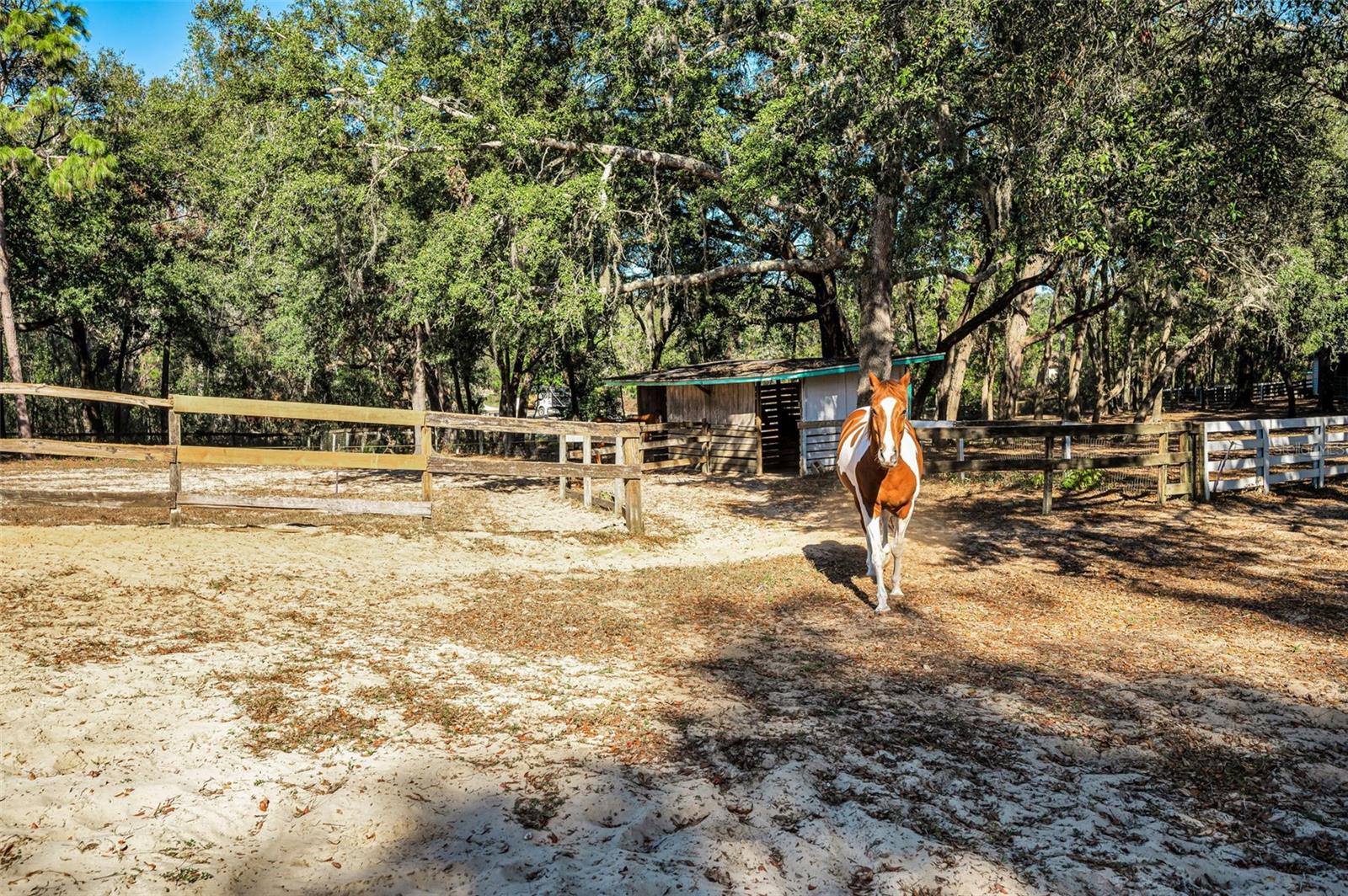 Image 31 of 56 For Xxx Trilby Trails Trail