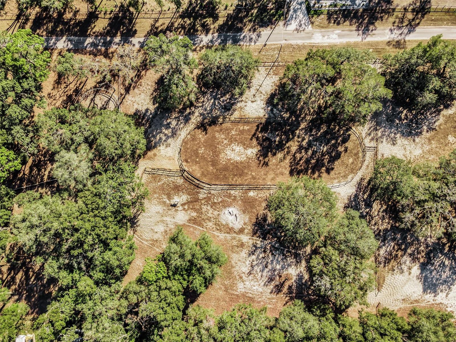 Image 37 of 56 For Xxx Trilby Trails Trail