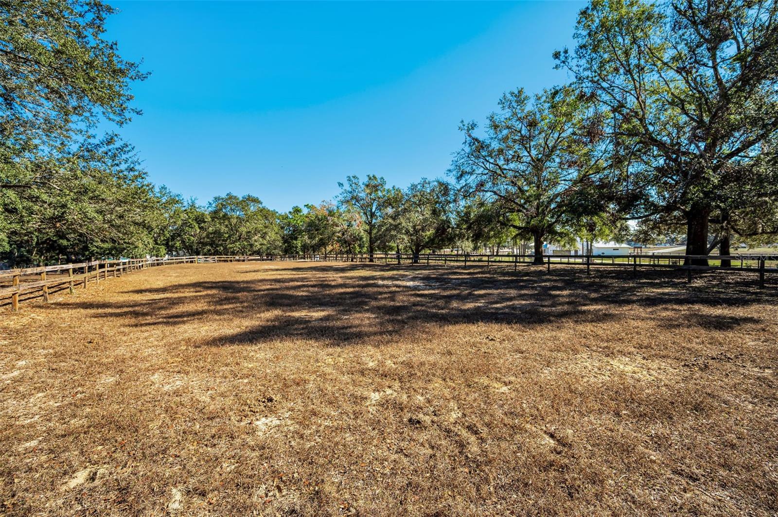 Image 42 of 56 For Xxx Trilby Trails Trail