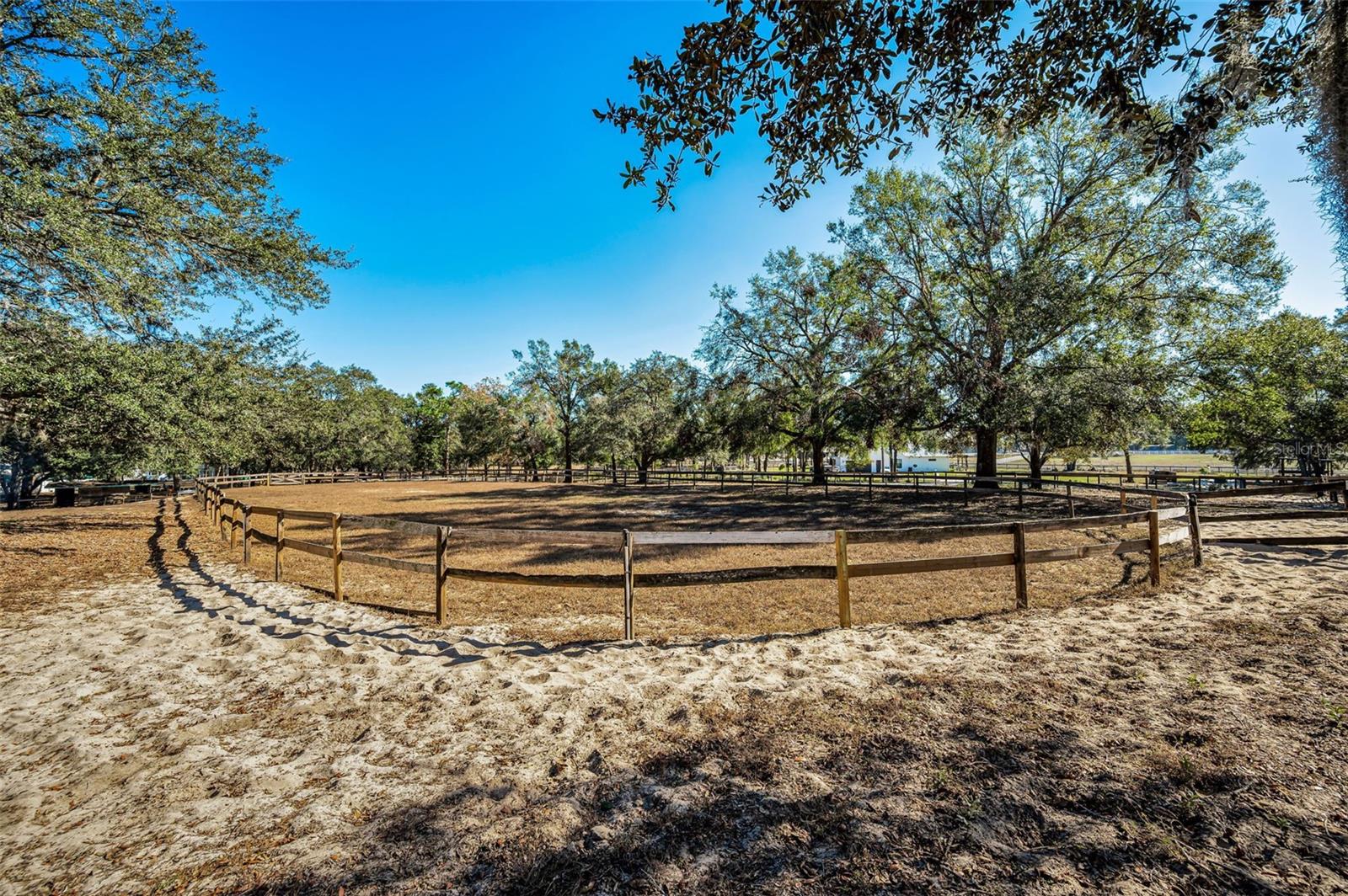 Image 43 of 56 For Xxx Trilby Trails Trail