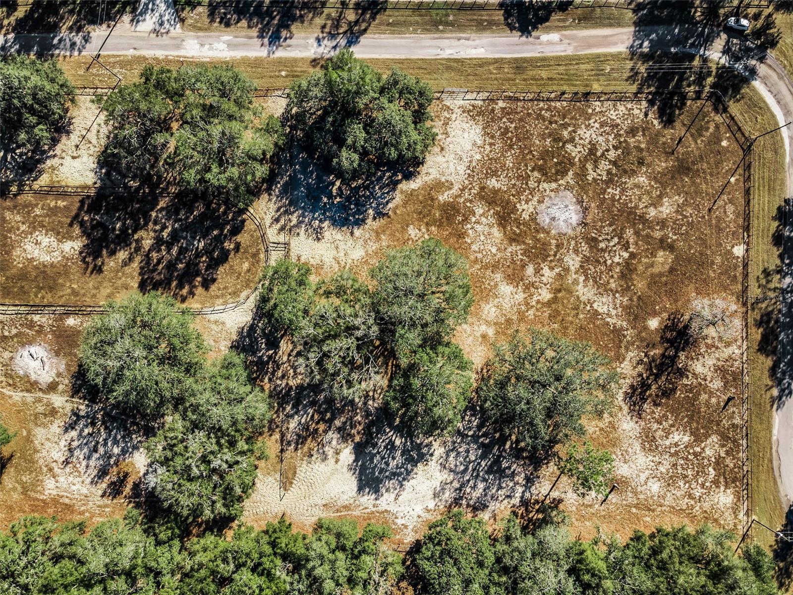 Image 46 of 56 For Xxx Trilby Trails Trail