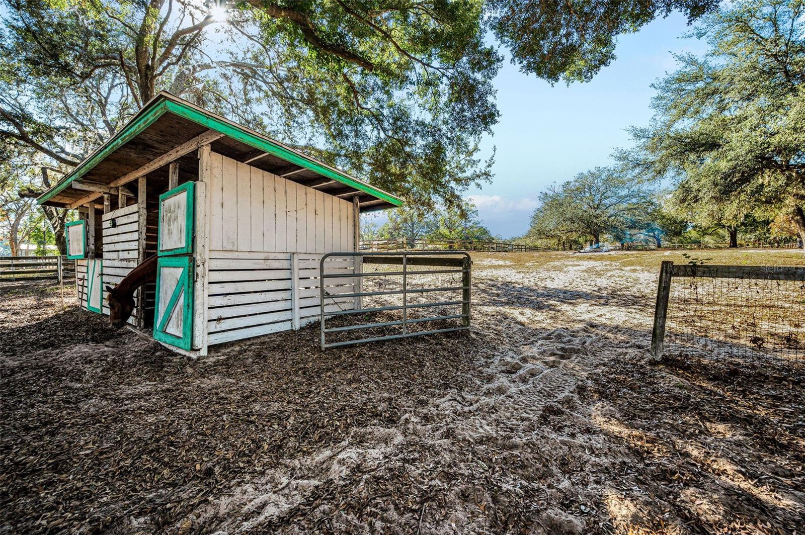 Image 51 of 56 For Xxx Trilby Trails Trail