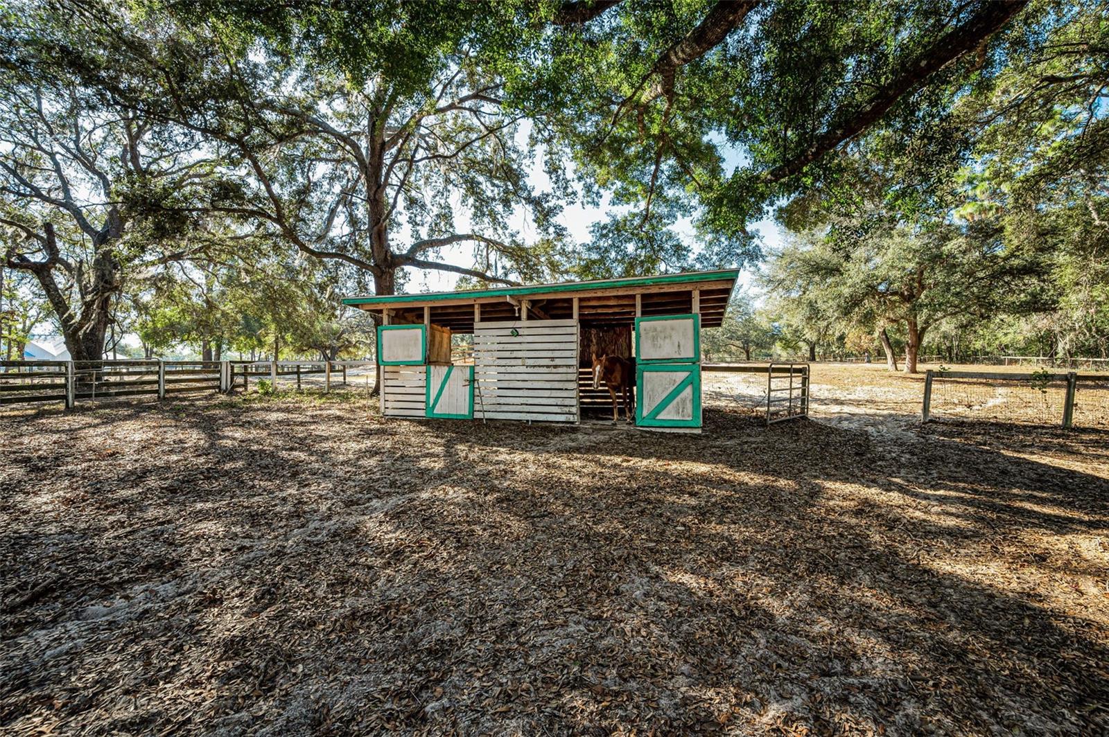 Image 52 of 56 For Xxx Trilby Trails Trail