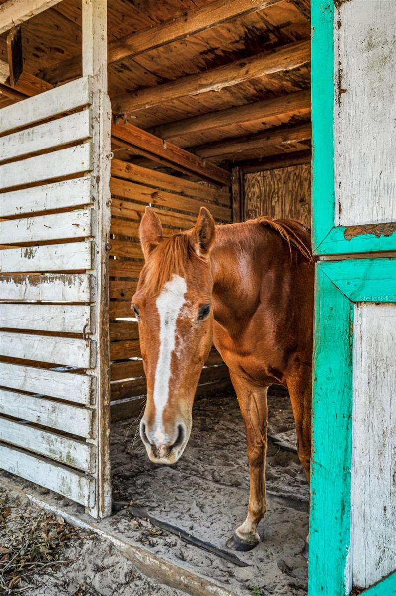 Image 53 of 56 For Xxx Trilby Trails Trail