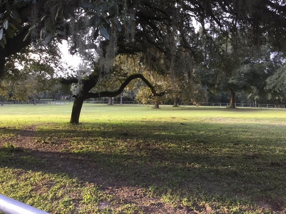 Image 56 of 56 For Xxx Trilby Trails Trail