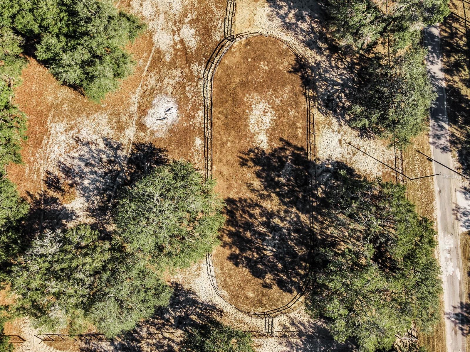 Image 8 of 56 For Xxx Trilby Trails Trail