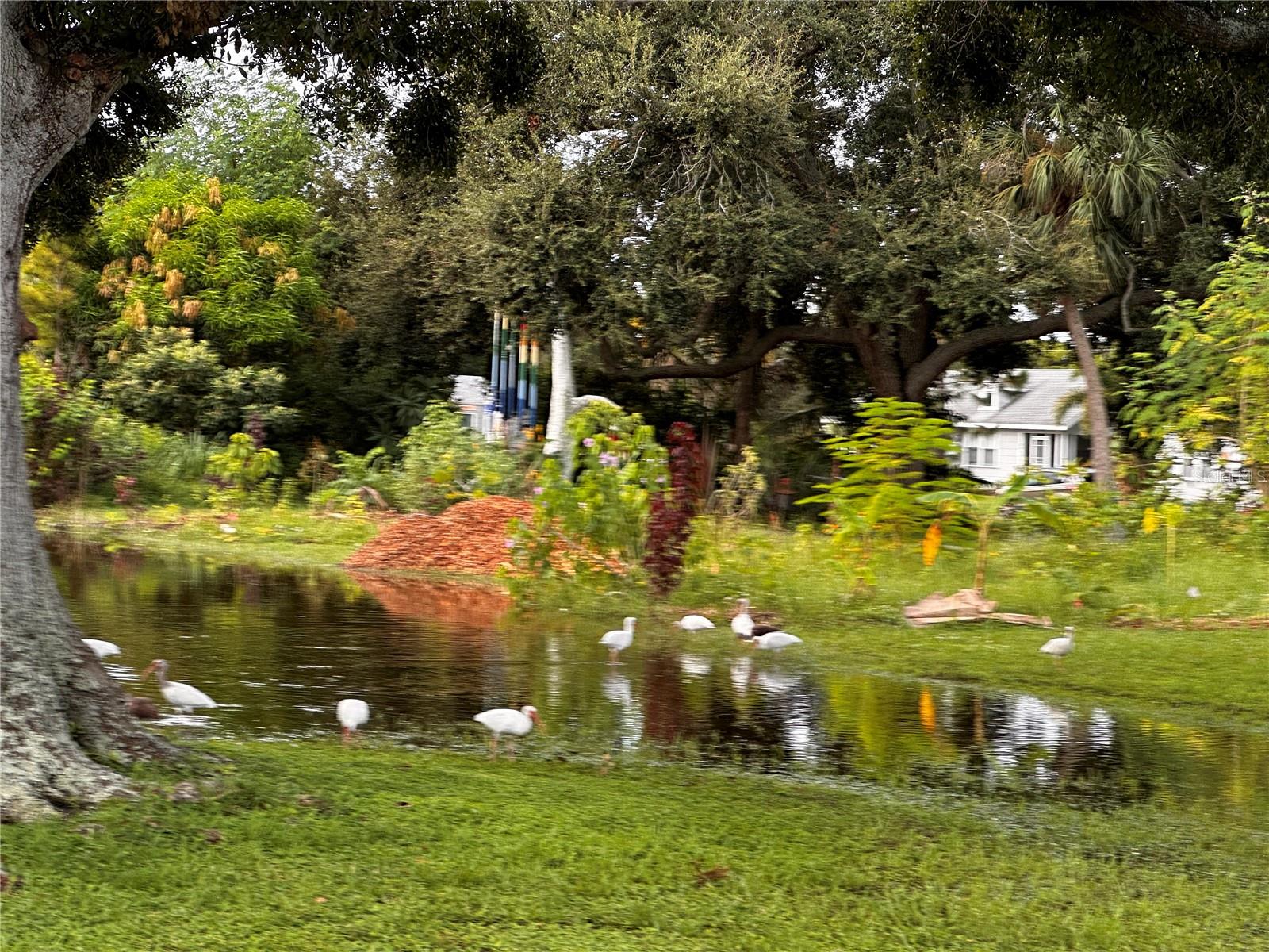 Image 21 of 22 For 3020 Clinton Street S