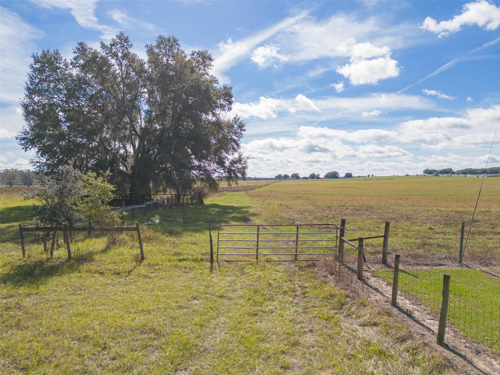 Image 16 of 17 For Bur Mac Road