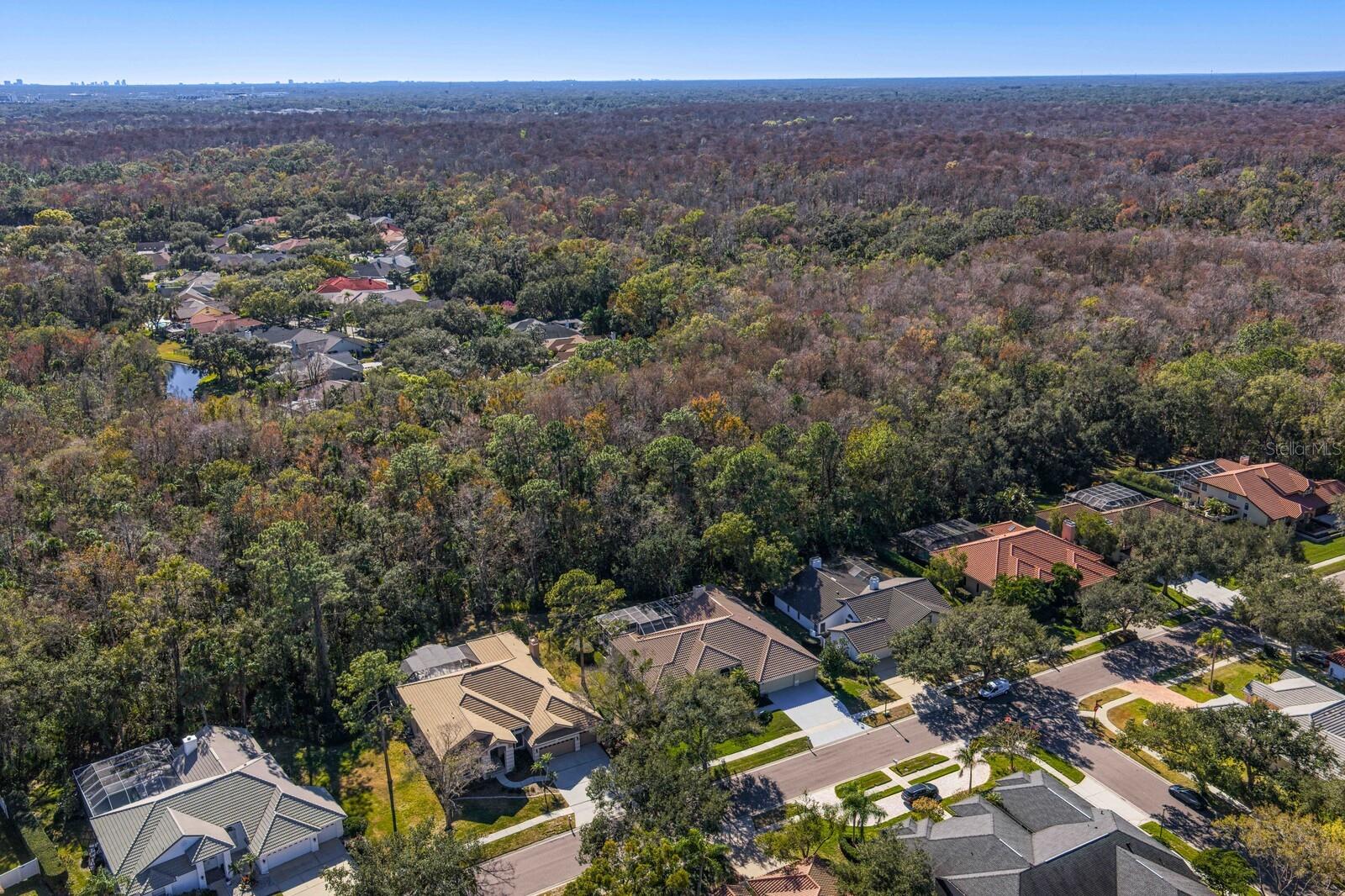 Image 56 of 63 For 4917 Londonderry Drive