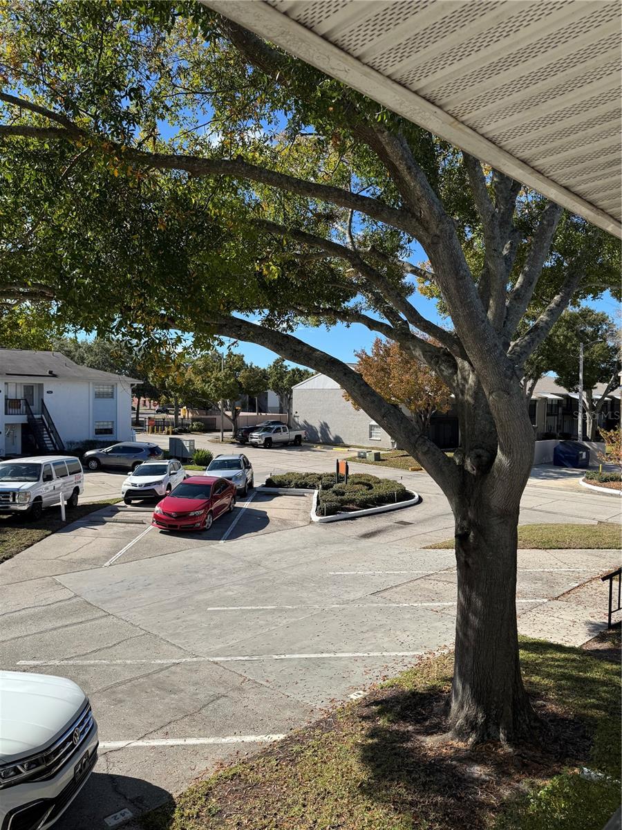 Image 2 of 21 For 4506 Oak Drive  S42