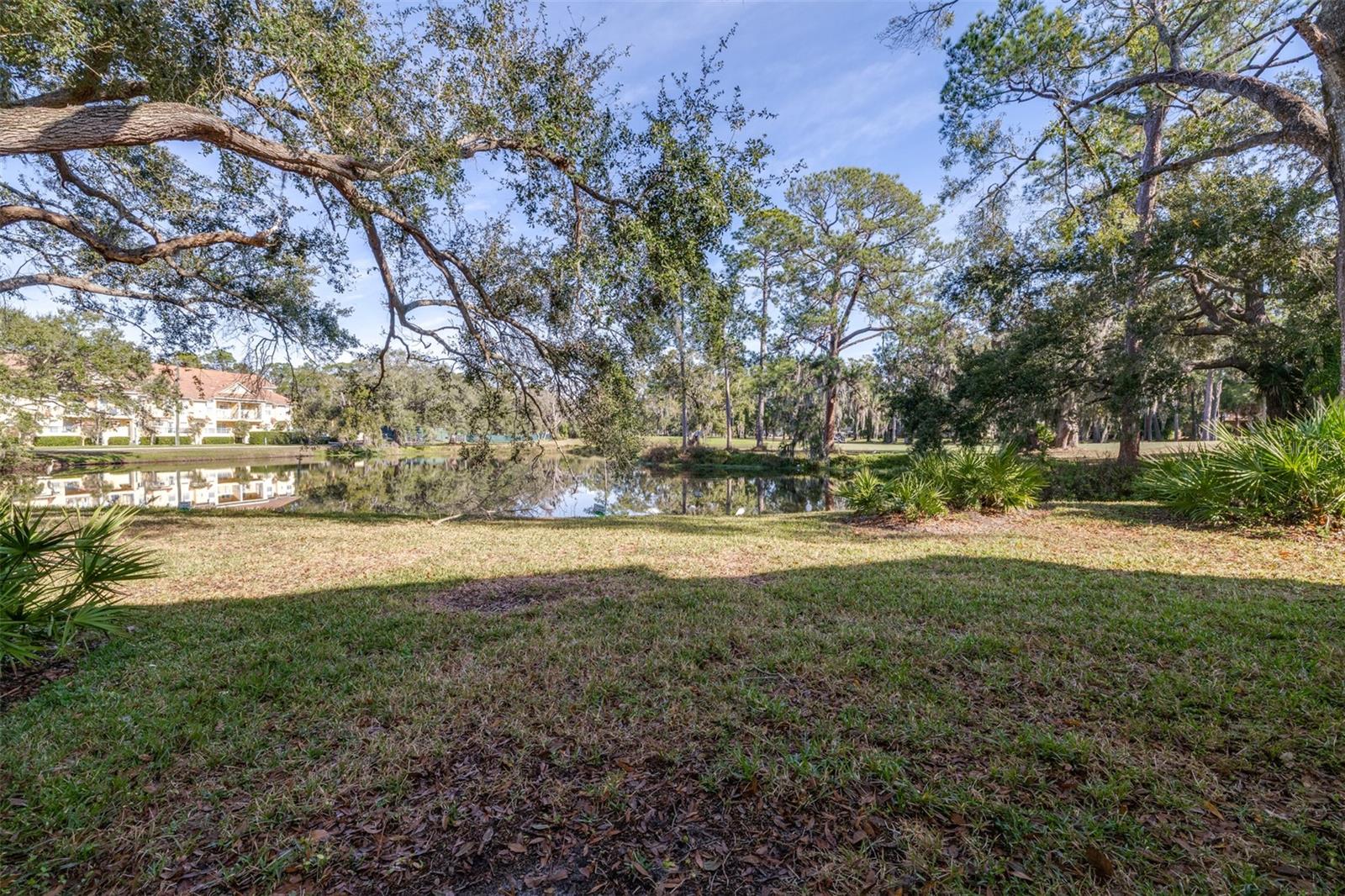 Image 44 of 60 For 1000 Tarpon Woods Boulevard 503