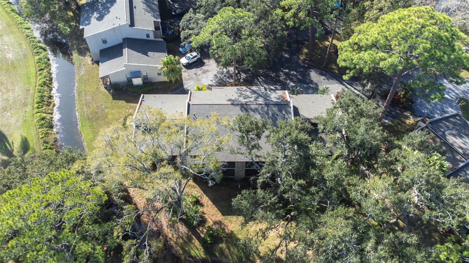 Image 55 of 60 For 1000 Tarpon Woods Boulevard 503