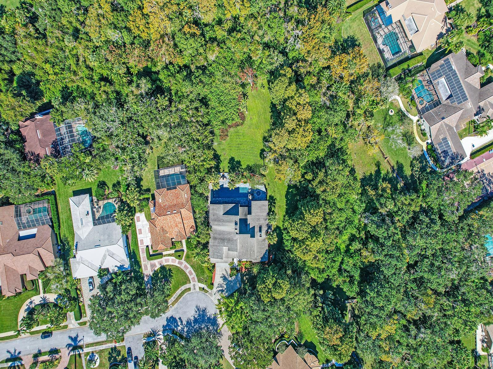 Image 11 of 78 For 1609 Hampton Court