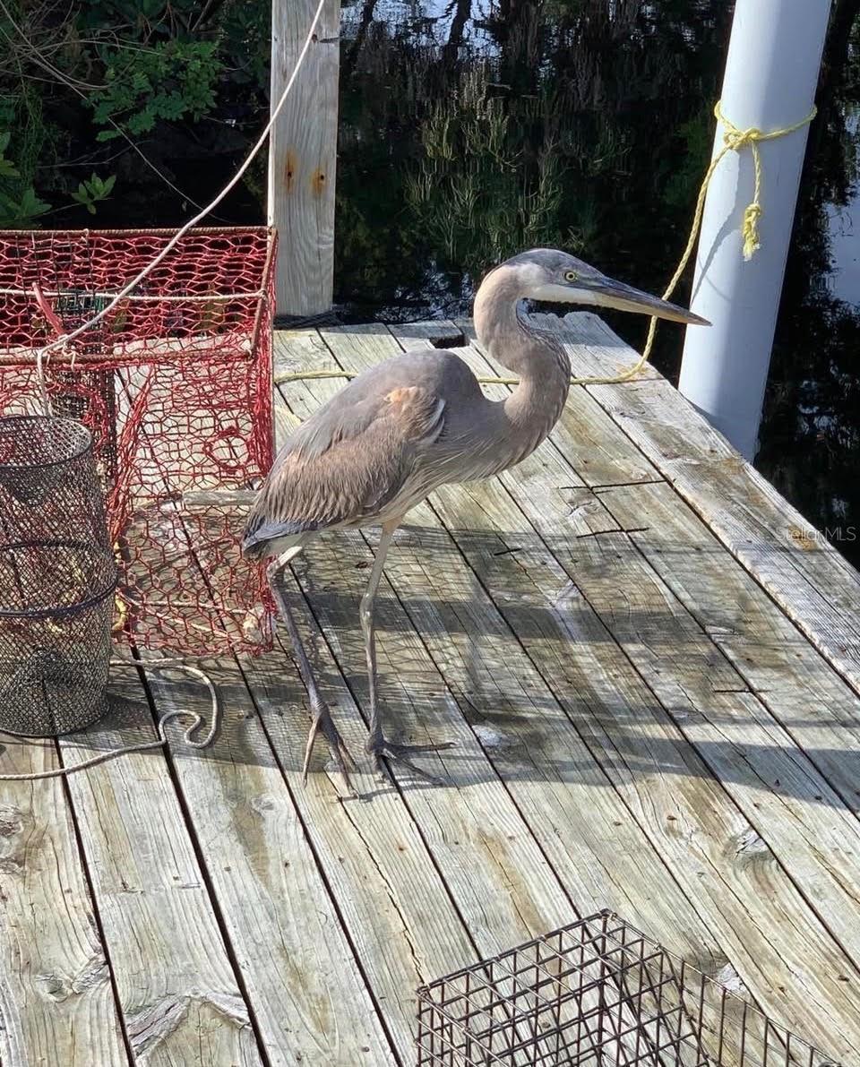 Image 42 of 57 For 14371 Ebbtide Court