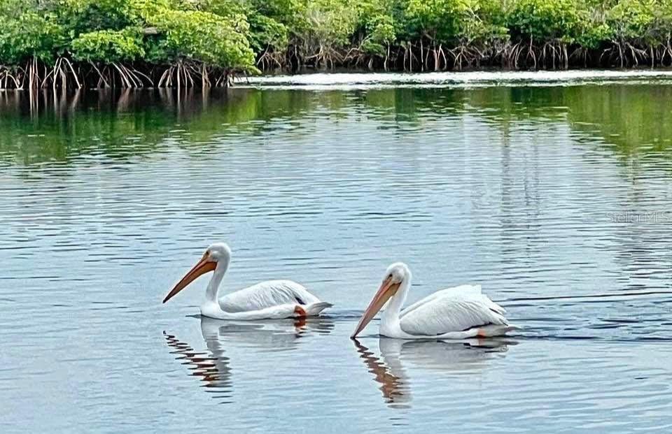 Image 43 of 57 For 14371 Ebbtide Court