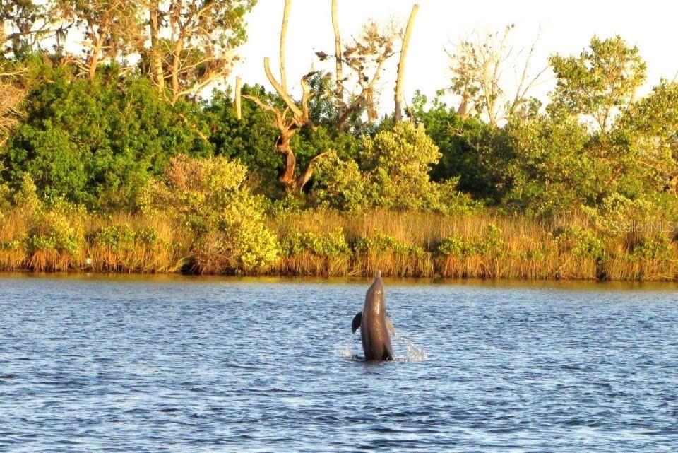 Image 44 of 57 For 14371 Ebbtide Court