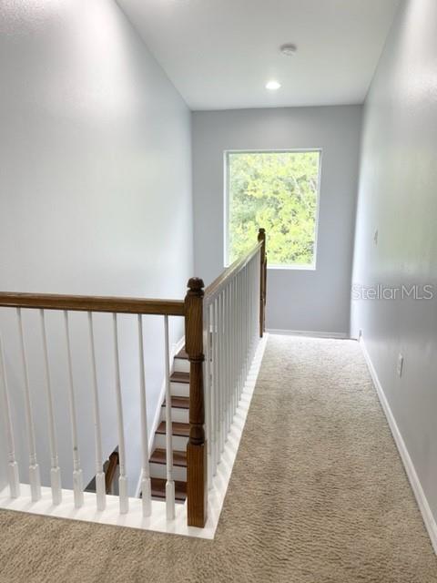 Image 43 of 49 For 7876 Tuscany Woods Drive