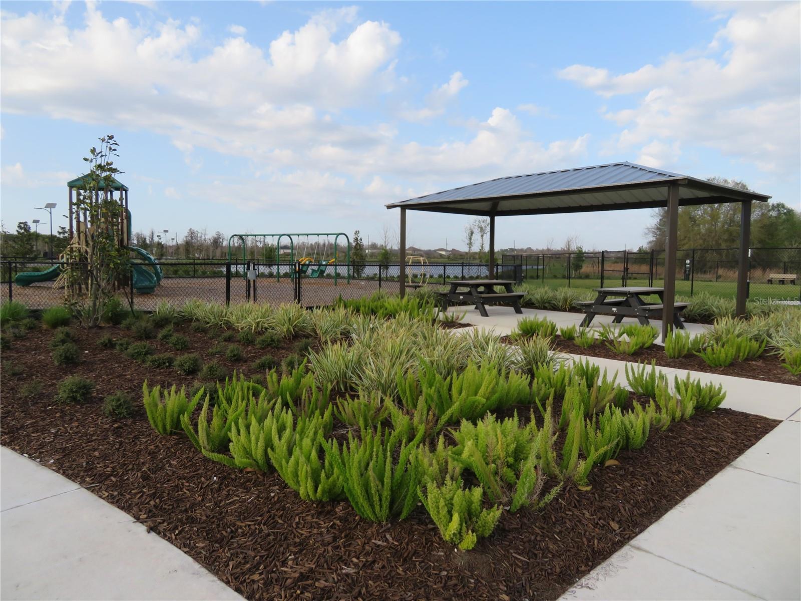 Image 20 of 24 For 17212 Bigleaf Mahogany Lane