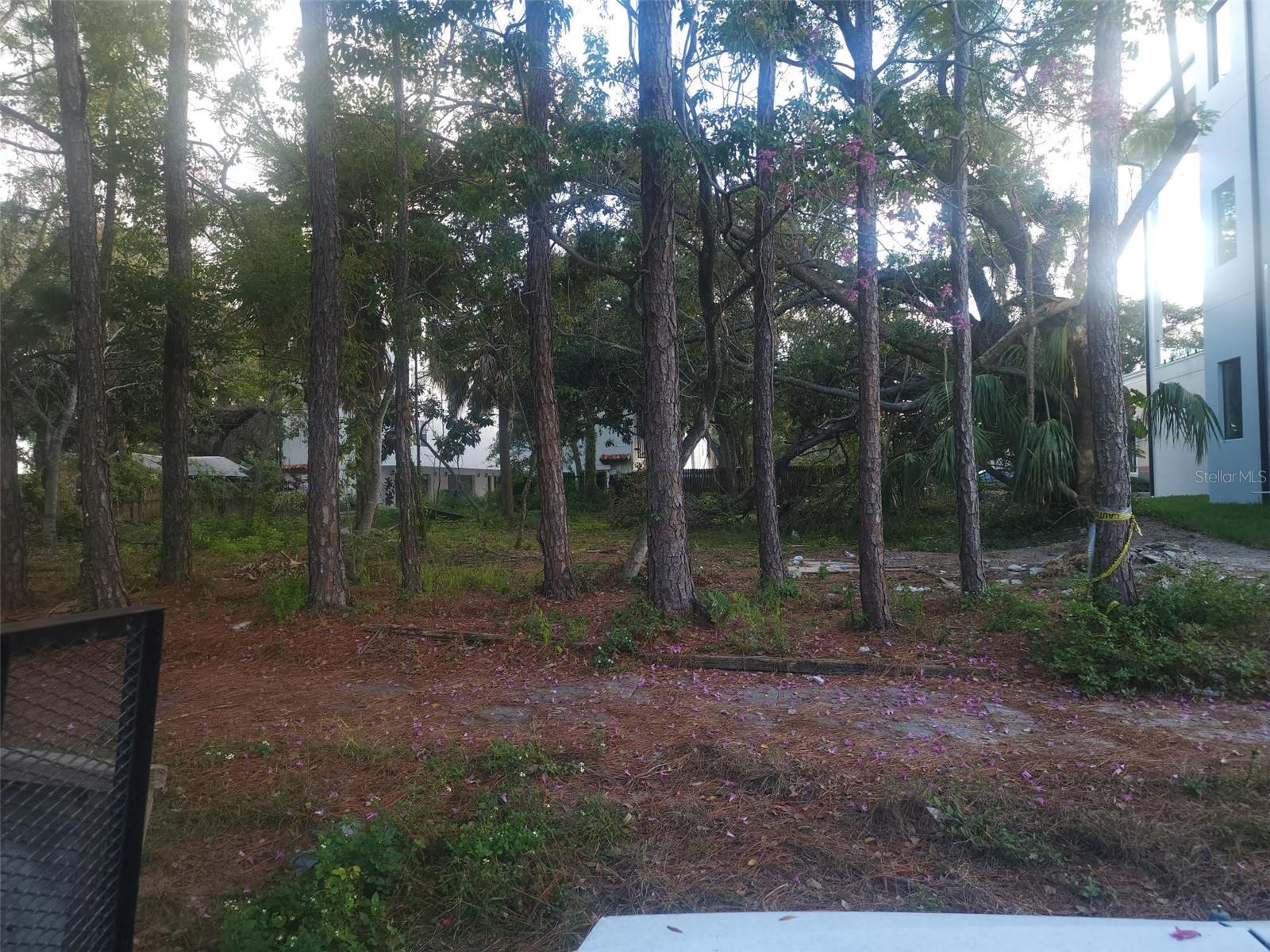 Image 6 of 9 For 2318 North B Street