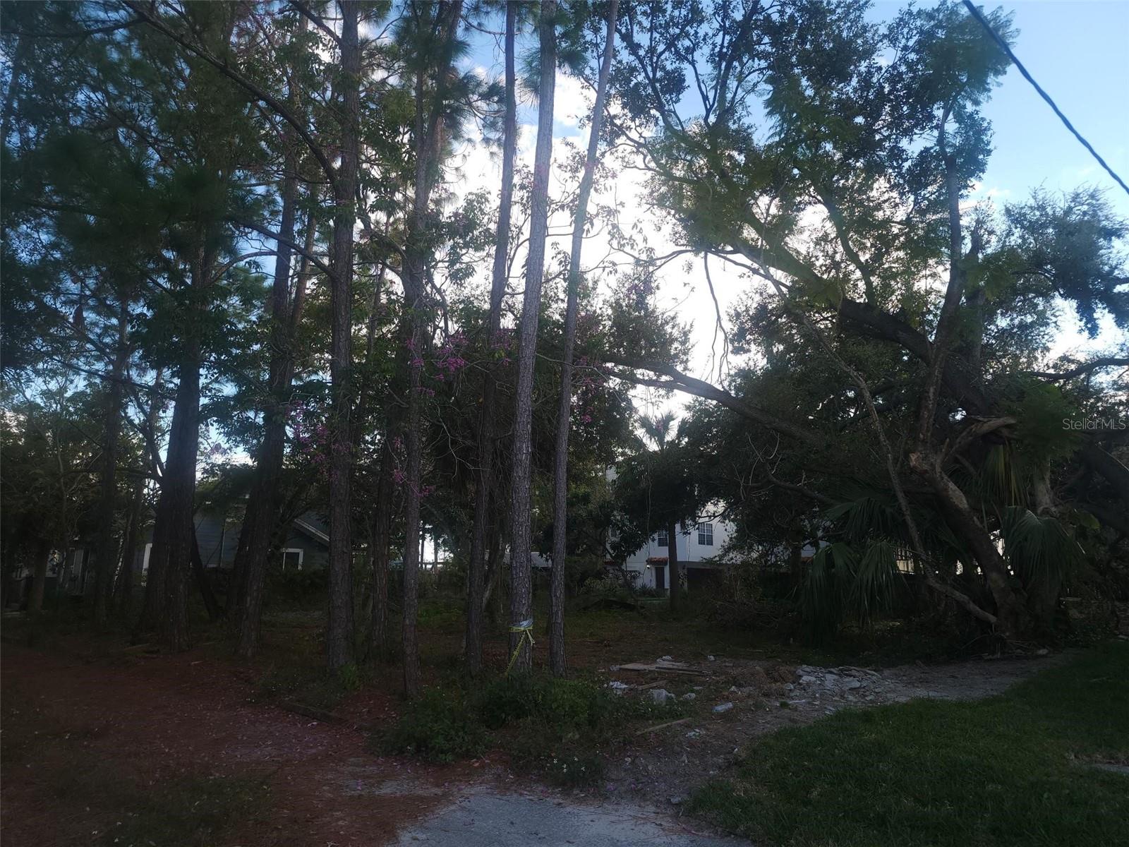 Image 7 of 9 For 2318 North B Street