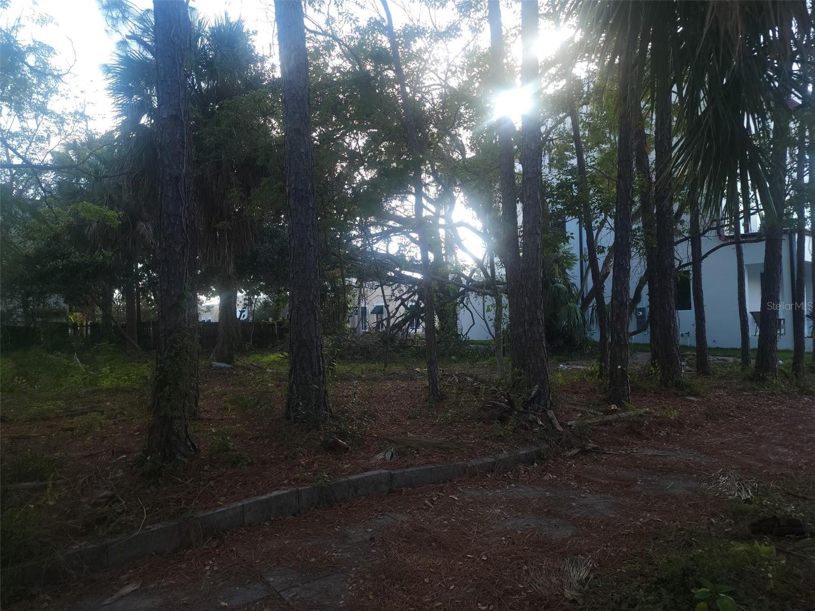 Image 9 of 9 For 2318 North B Street