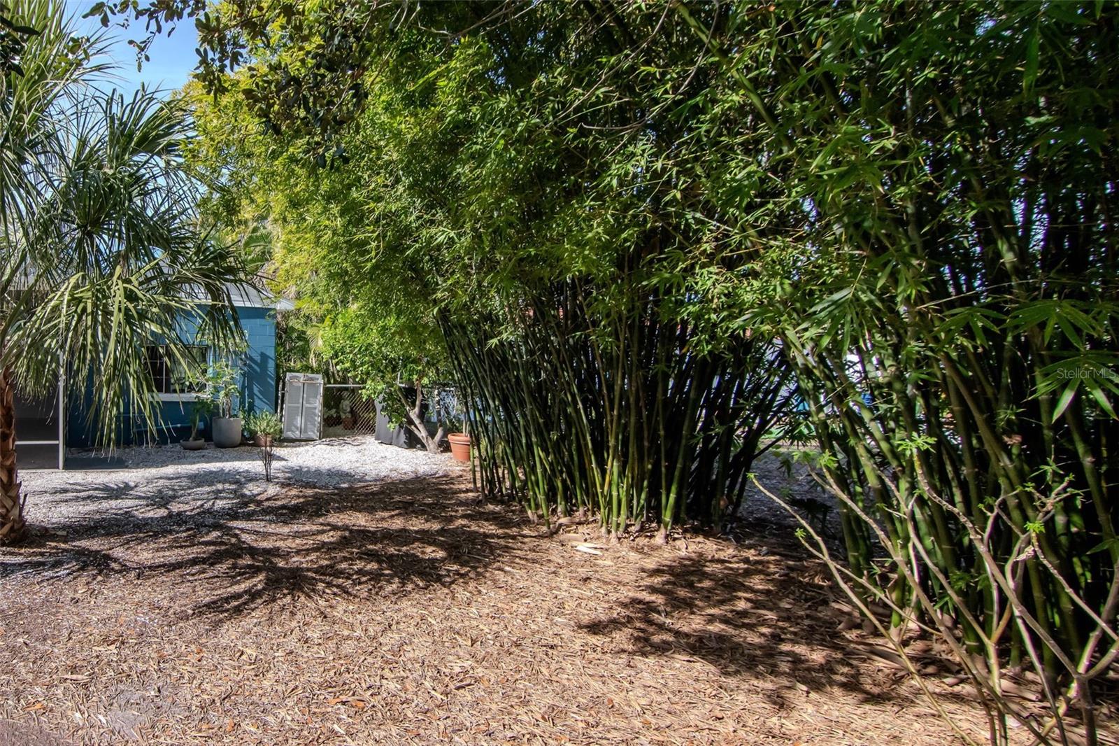 Image 28 of 32 For 6208 Jones Road