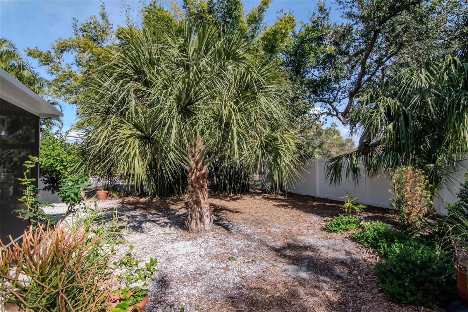 Image 32 of 32 For 6208 Jones Road