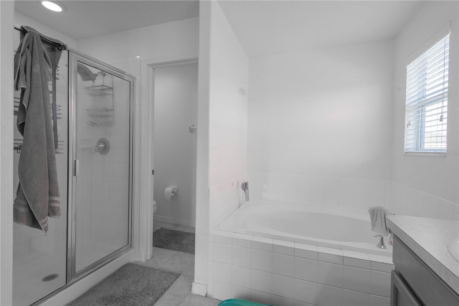 Image 24 of 41 For 509 Bella Rosa Circle