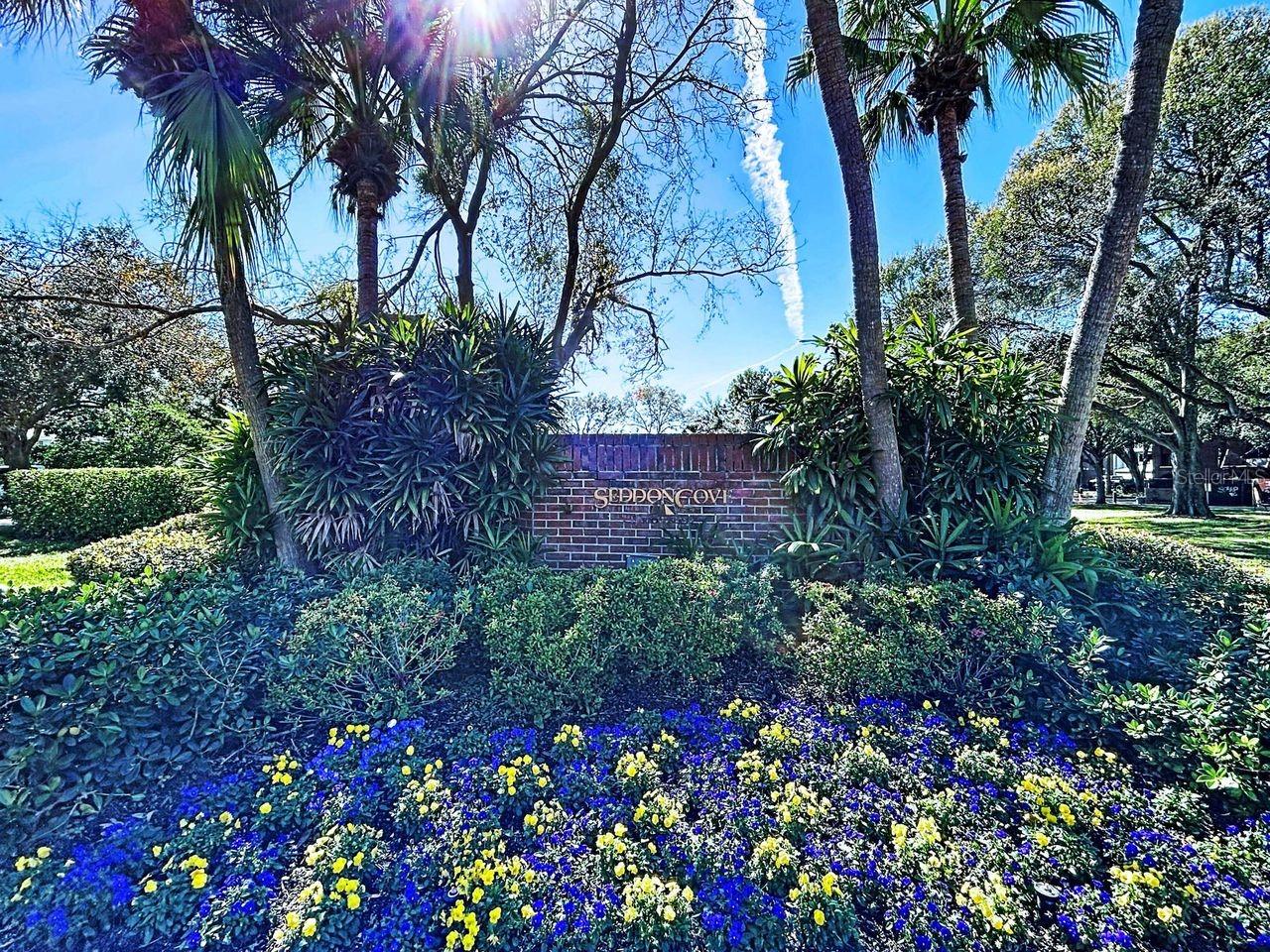 Image 26 of 36 For 923 Seddon Cove Way 923