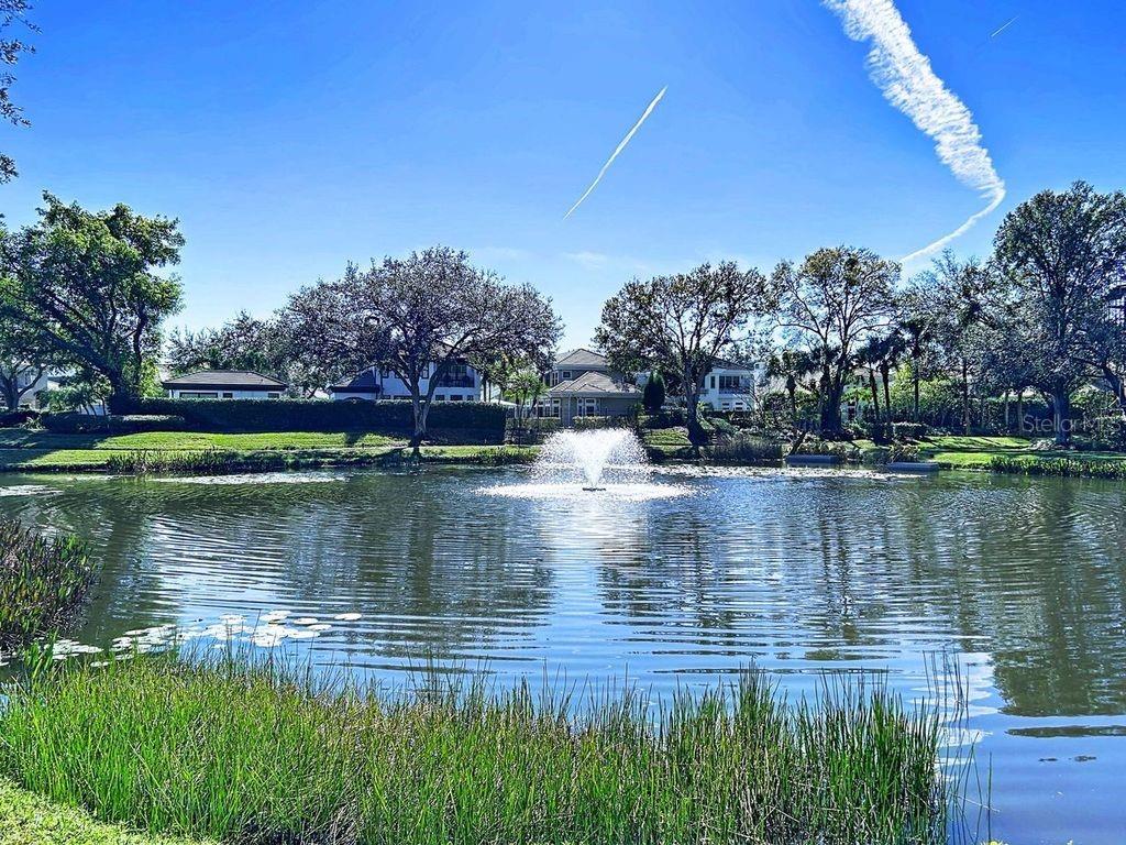 Image 32 of 36 For 923 Seddon Cove Way 923