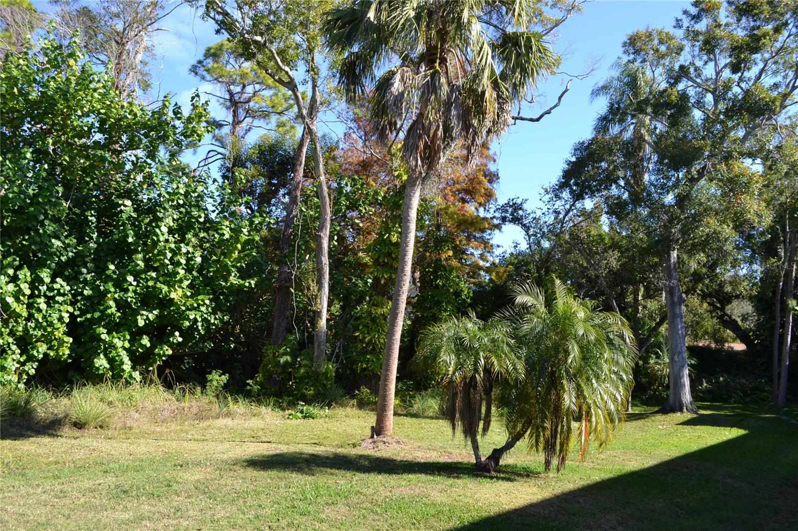 Image 35 of 48 For 11158 Kapok Grand Circle