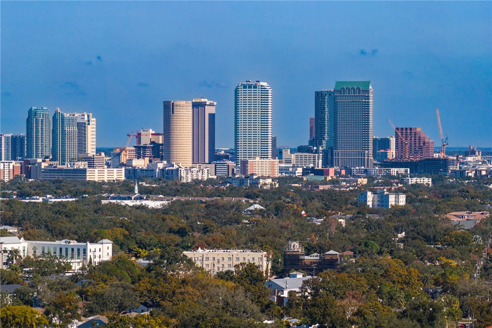 Image 61 of 67 For 2914 San Jose Street