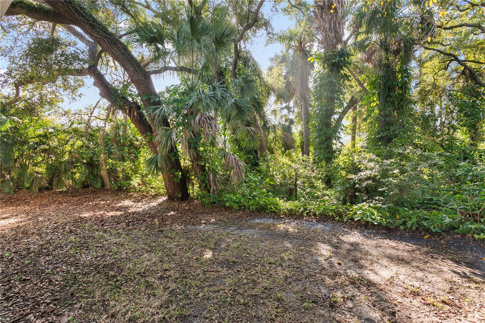 Image 67 of 67 For 2914 San Jose Street