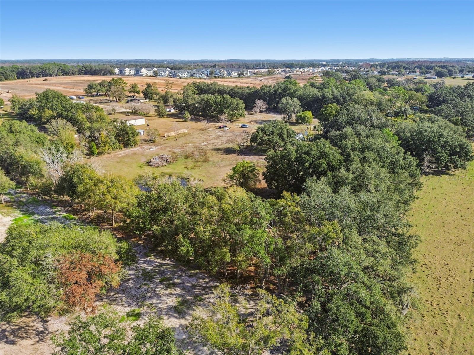 Listing photo id 20 for 28538 Rice Road