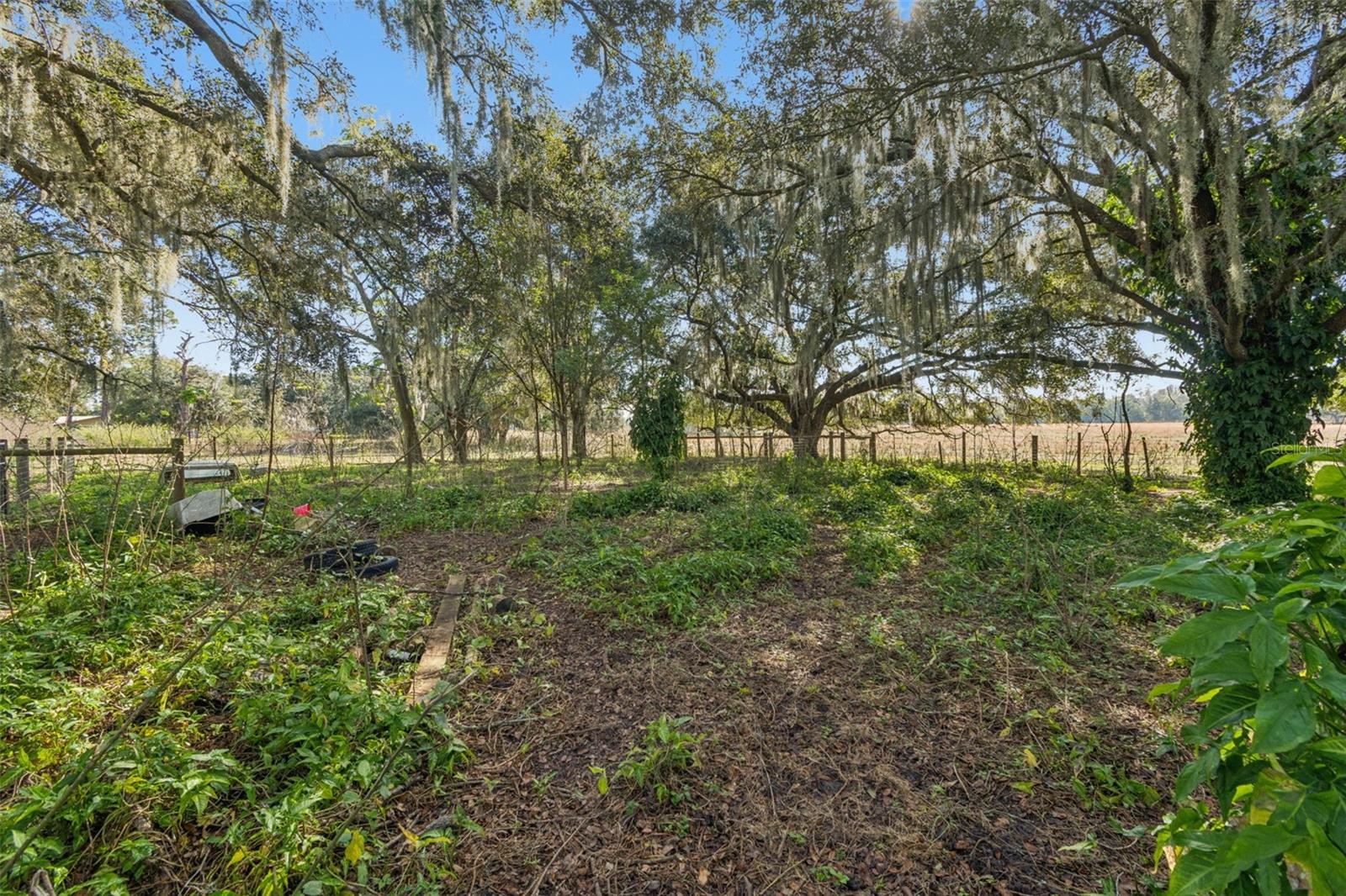 Listing photo id 27 for 28538 Rice Road